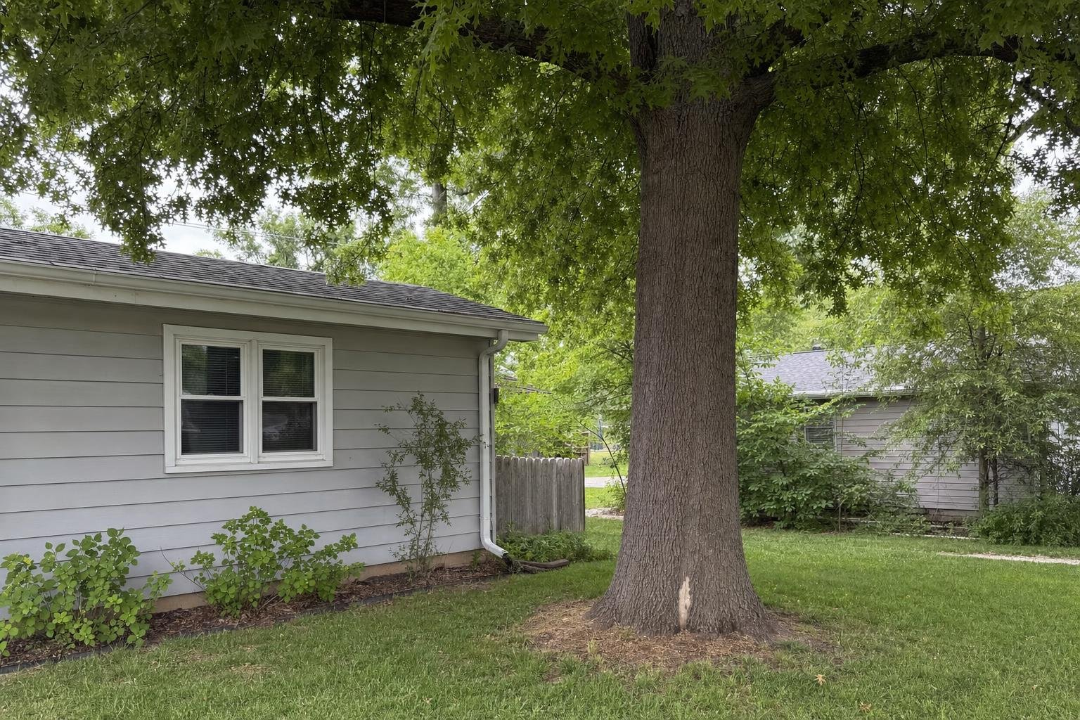 Tree Service Cost Guide in Wichita