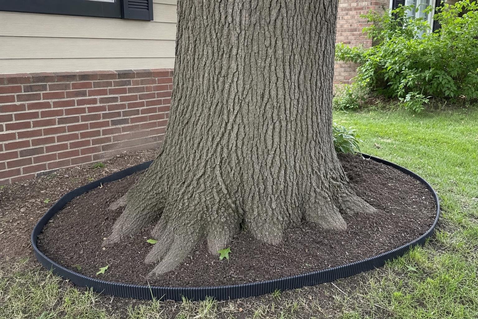 Tree service warning signs, example photo