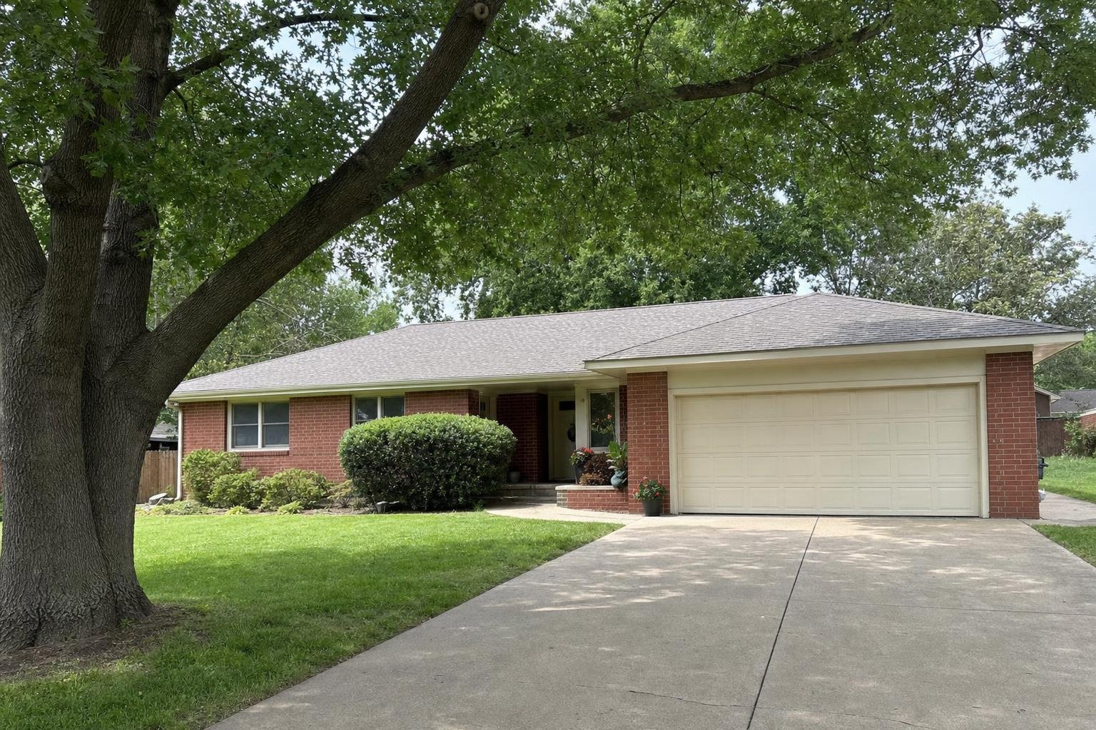 Tree Trimming in Wichita